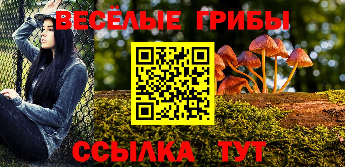 Архангельск  Галлюциногенные грибы ЛСД  Вход с VPN 